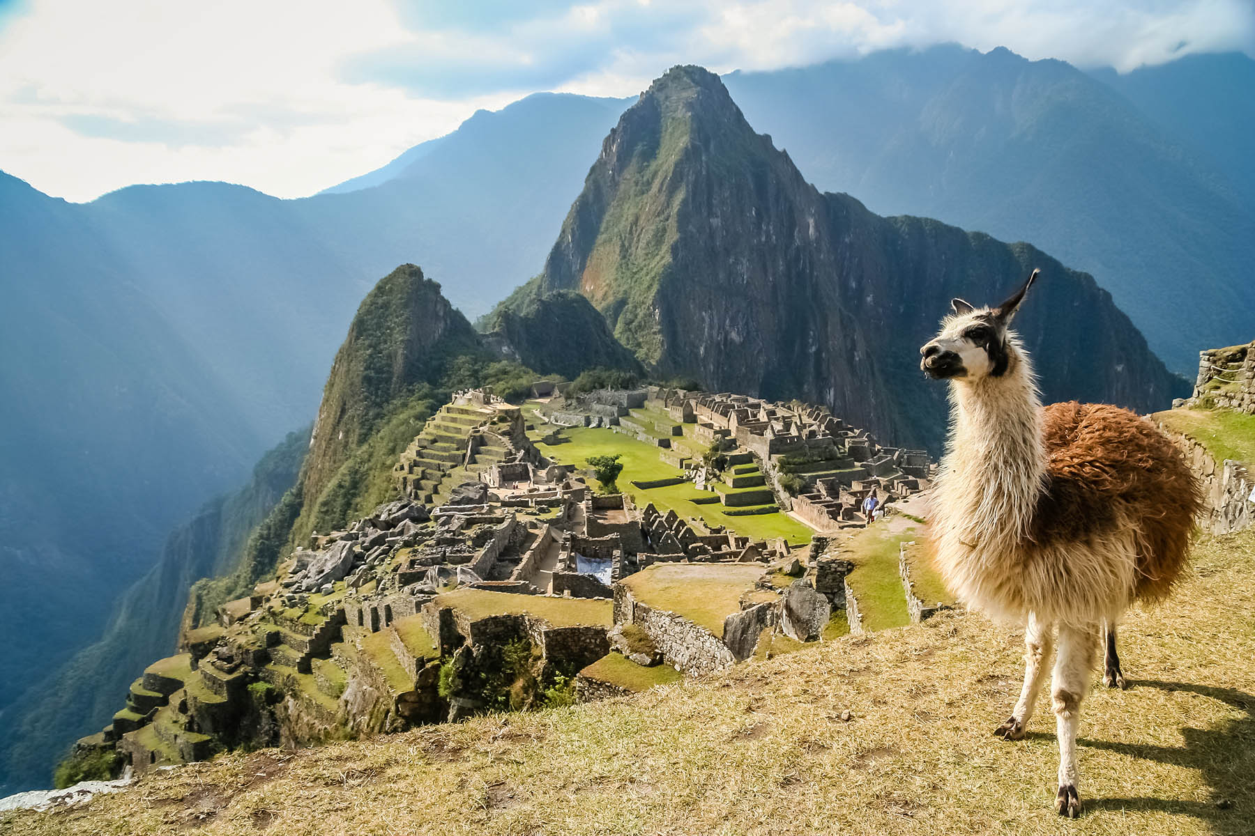 South American Explorations: From the Amazon to Machu Picchu