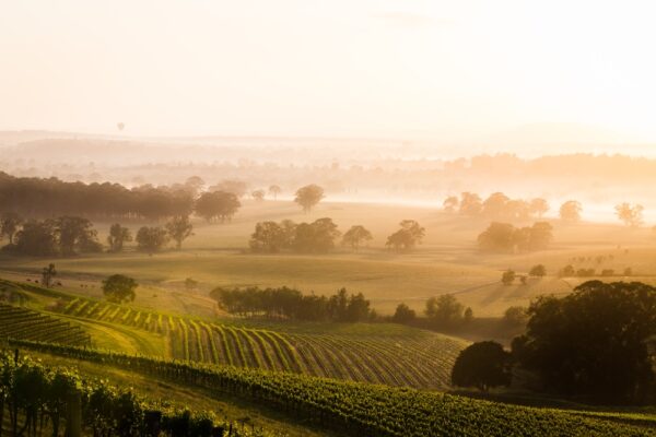 Exploring Wine Regions