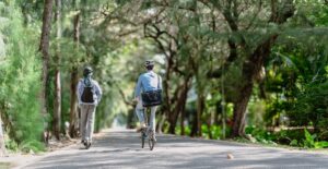 Eco-Friendly Travel: Tips for Sustainable Tourism