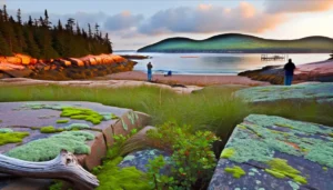 All-Inclusive Family Vacations New England – Best All-Inclusive Resorts for Families in New England